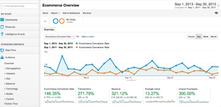 Pet Store SEO Revenue Increase