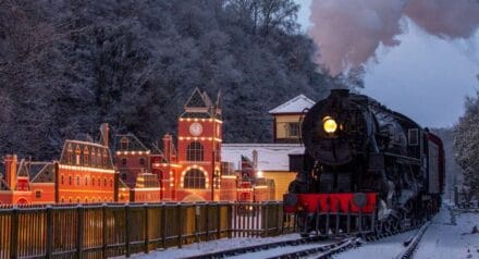 Polar express train ride SEO case study