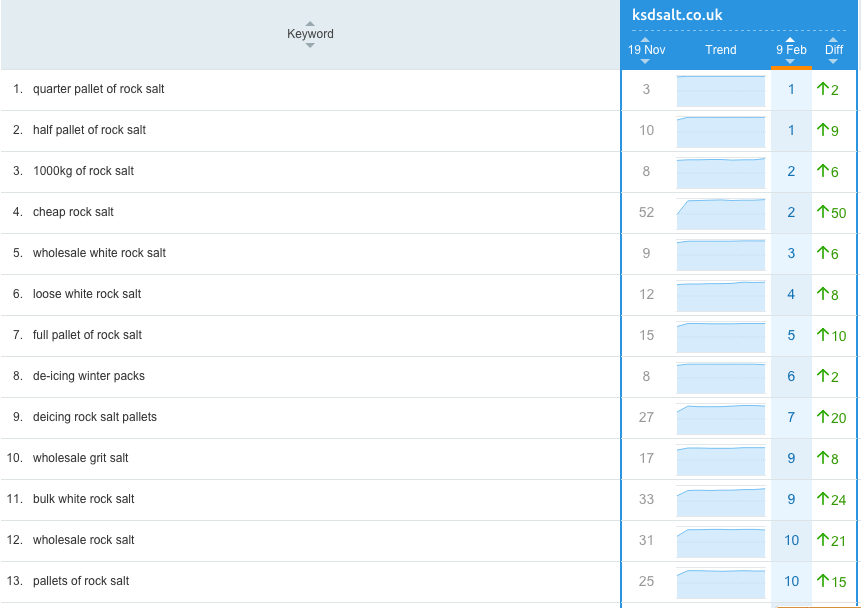 Salt Rock SEO Rankings 1