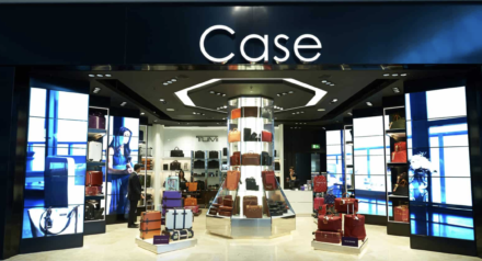 case luggage seo case study